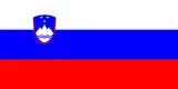 Slovenia flag
